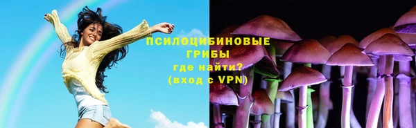 Альфа ПВП Абаза