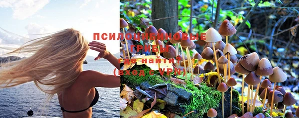 Альфа ПВП Абаза