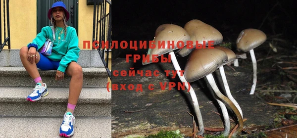 первитин Абинск
