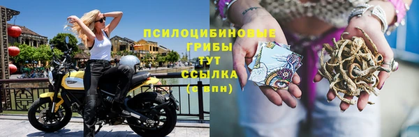 шишки Абдулино