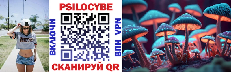 это как зайти  где купить   Вичуга  Псилоцибиновые грибы MAGIC MUSHROOMS 
